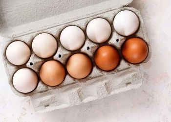 تخم‌ مرغ قهوه‌ای و سفید؛ کدام بهتر است؟