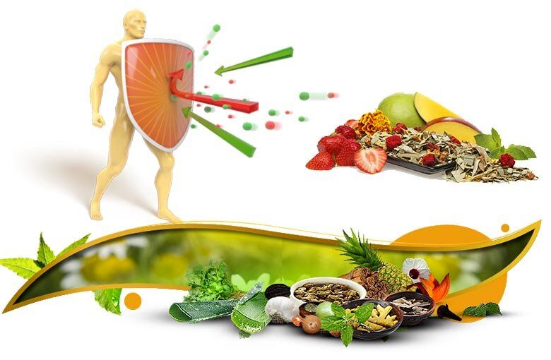 بهترین میوه‌ها برای تقویت سیستم ایمنی بدن