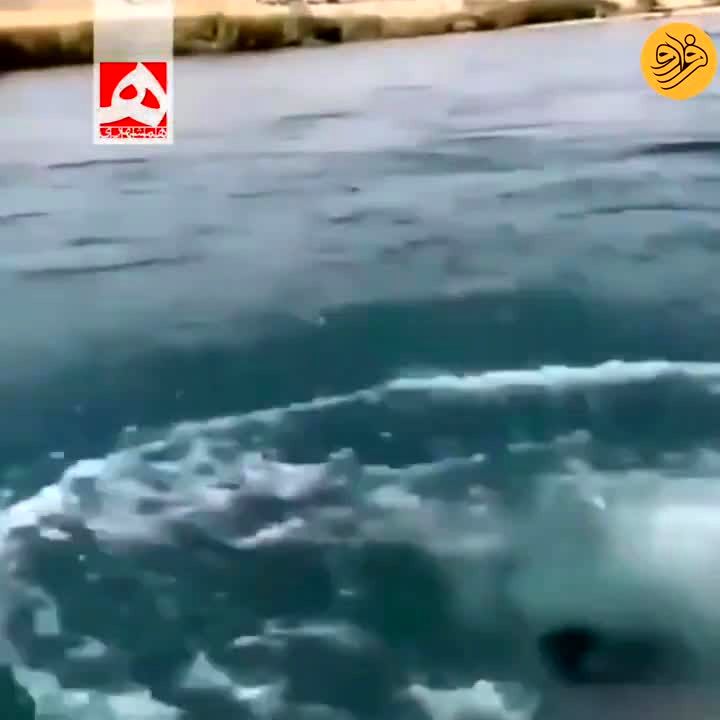شیرجه تماشایی مادربزرگ ۸۶ساله در رود دز/ ویدئو