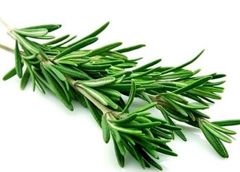 خواص شگفت‌انگیز «رزماری» برای لاغری