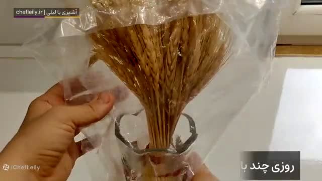 آموزش کاشت سبزه خوشه گندم ویژه نوروز ۱۴۰۴/ ویدئو