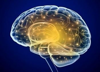 مغز از چه سنی پیر می‌شود؟