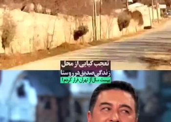 امیرحسین صدیق: در وسط کوه‌ها زندگی می‌کنم/ ویدئو