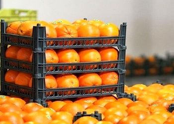 قیمت نهایی سیب و پرتقال شب عید اعلام شد