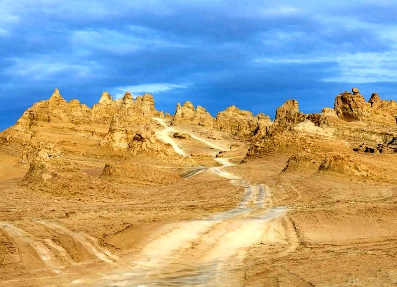 اژدهای شنی؛ فسیل ۱۰۰ میلیون‌ساله‌ که در صحرا پیدا شد