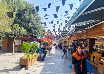  «خیابان باب همایون، وقتی خاکی بود»/ عکس