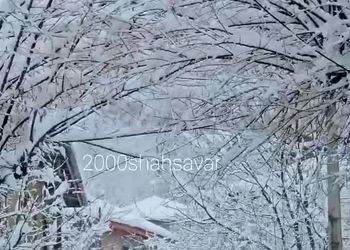 زیباترین برف زمستانی در جنگل‌های دوهزار
