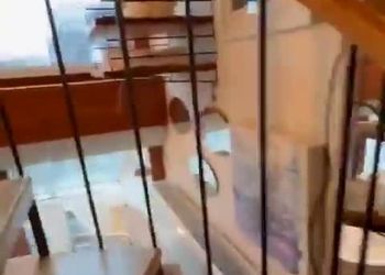 امکانات تماشایی یک آپارتمان با عرض ۲.۵ متر!/ ویدئو